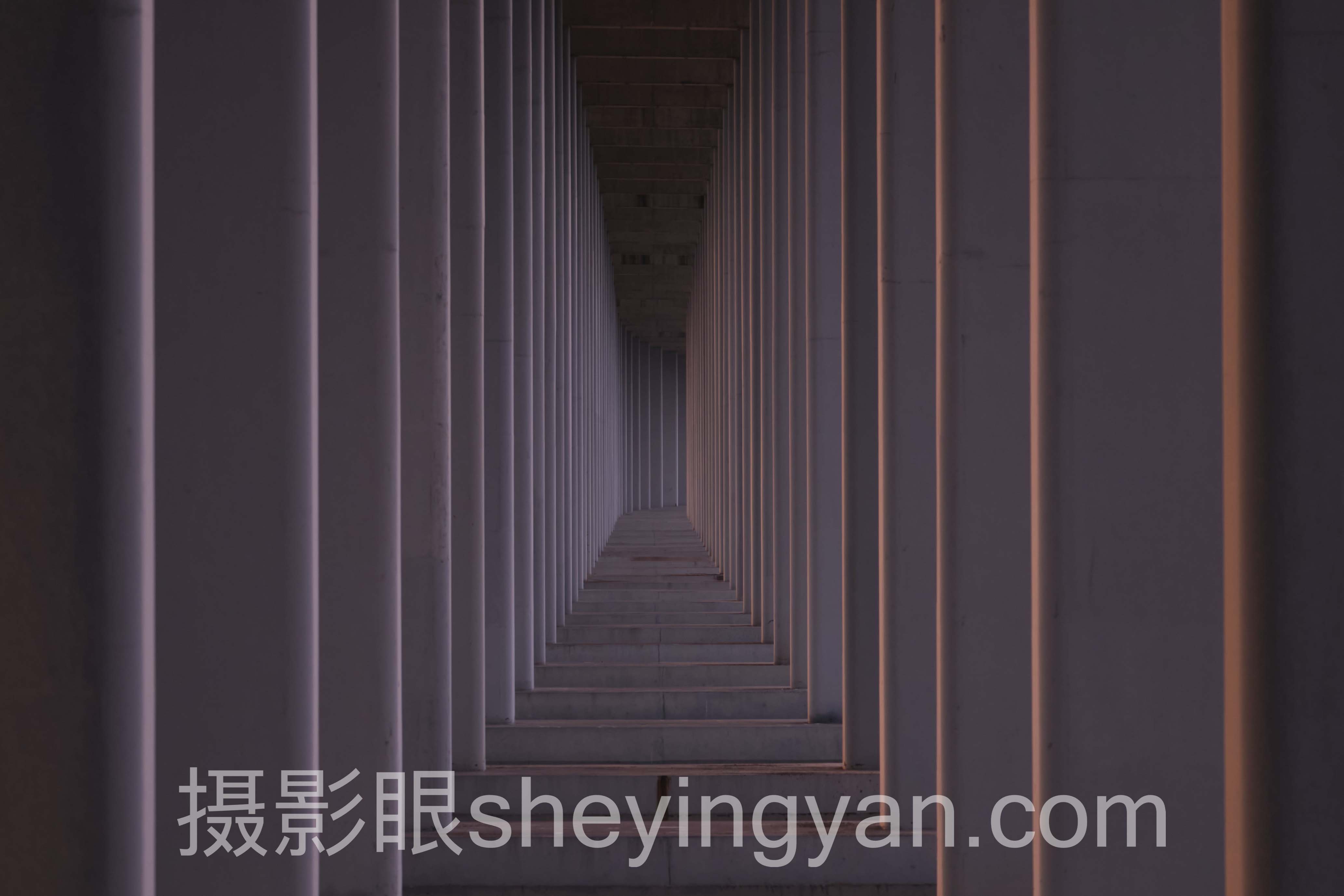 透视摄影眼：从底层逻辑到发展趋势