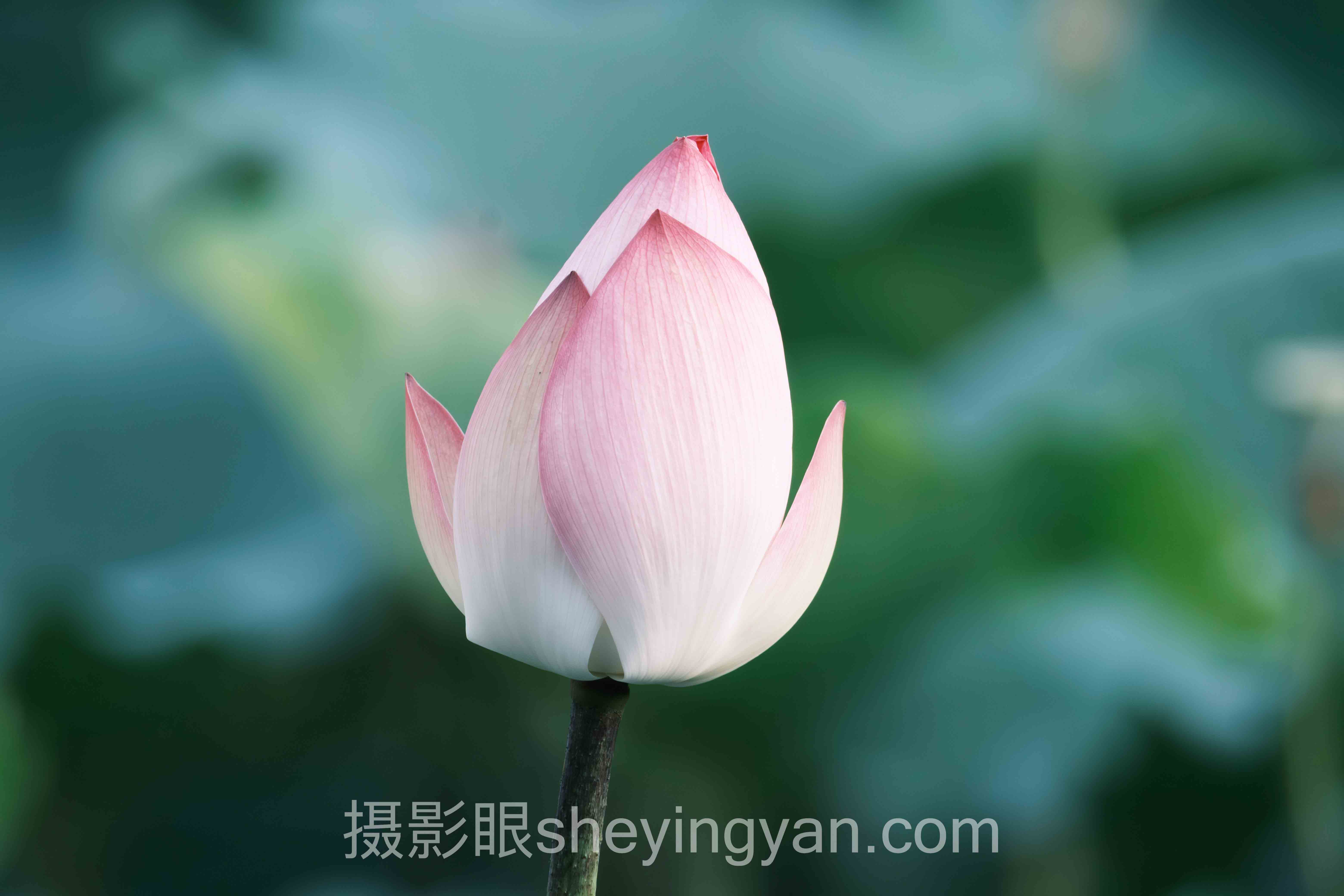 透视降噪怎么用:从底层逻辑到发展趋势