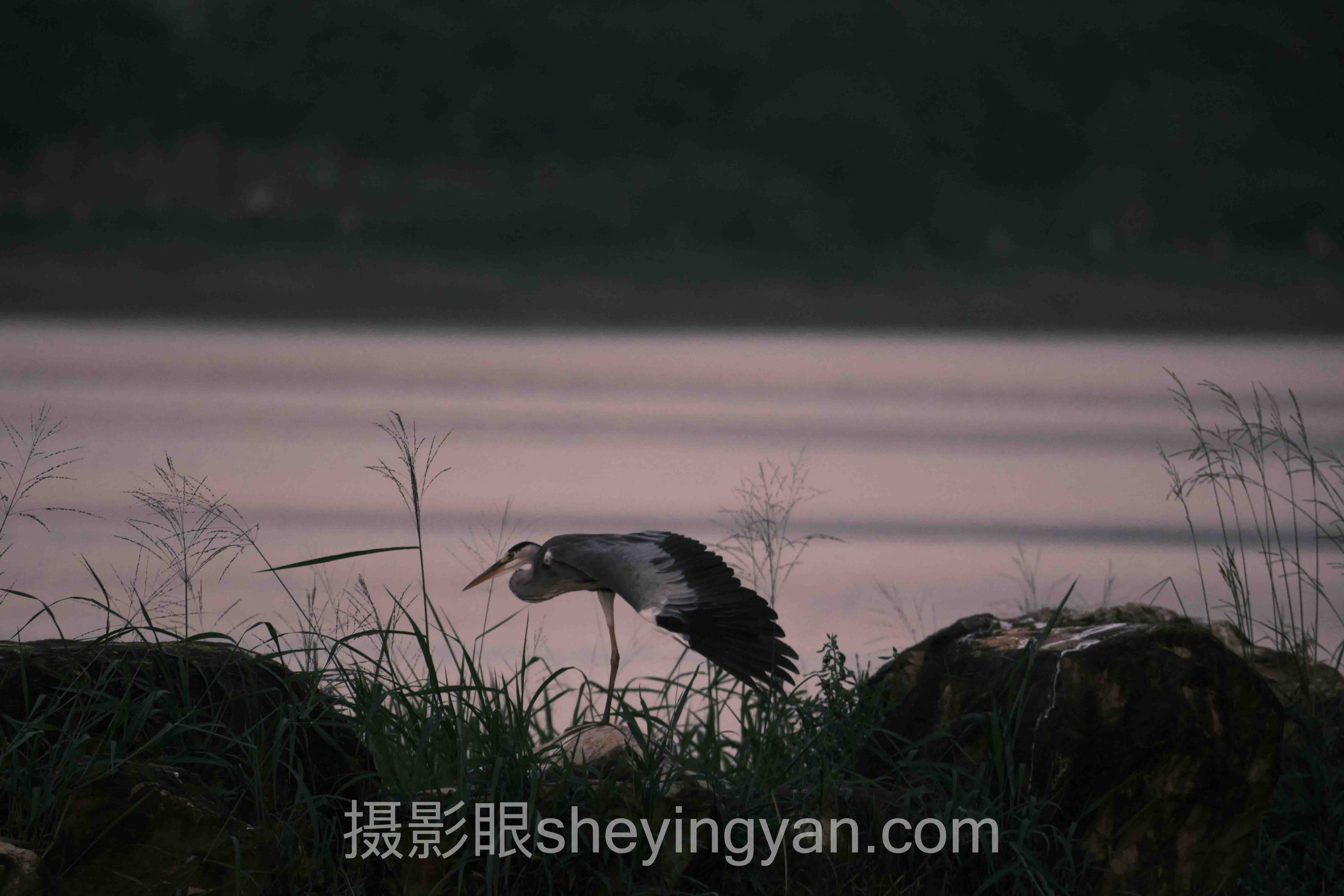 手机拍照够用吗深度分析:现状、挑战与未来趋势