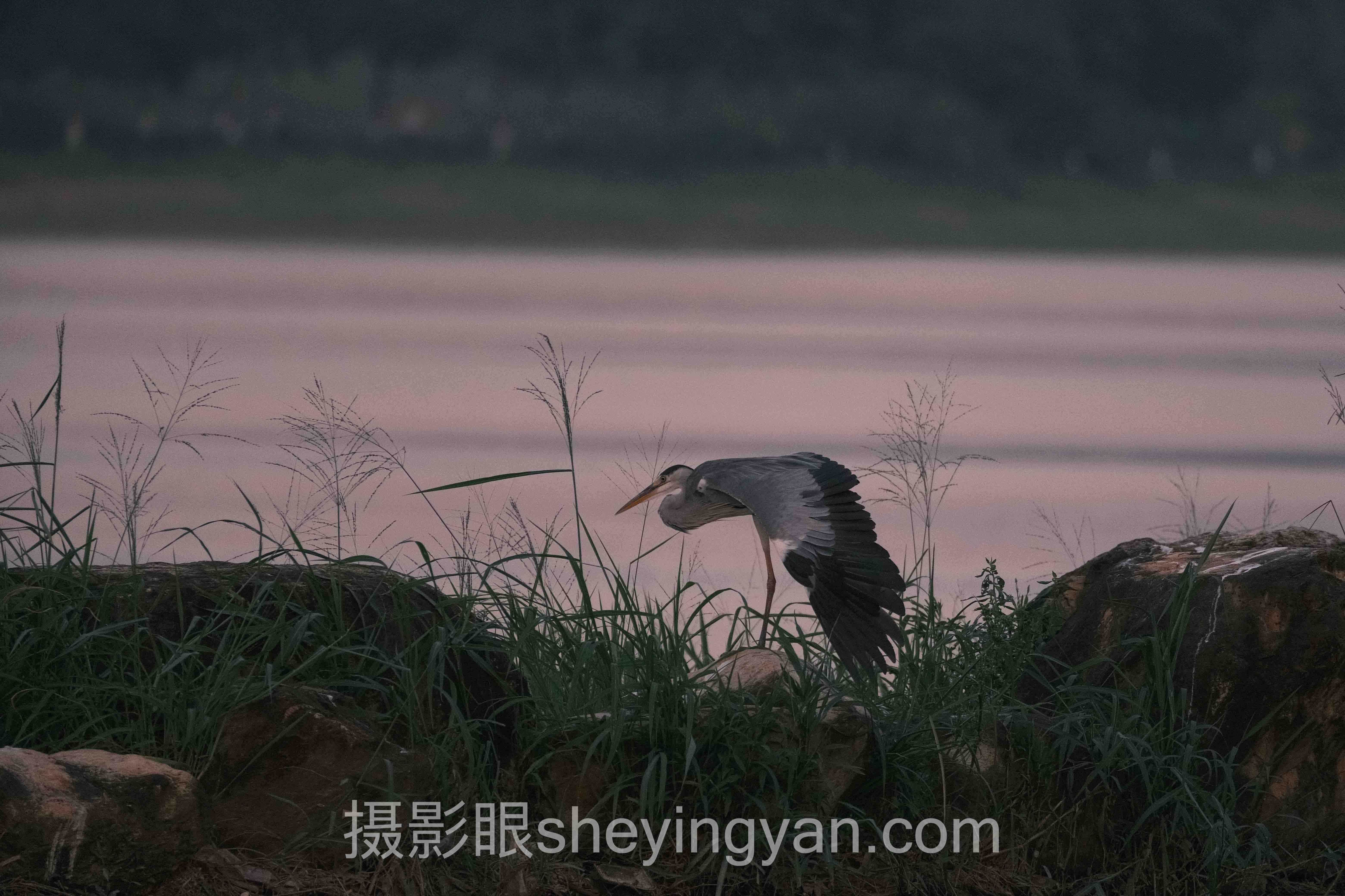 透视摄影审美培养：从照片评价到AI照片评分的底层逻辑