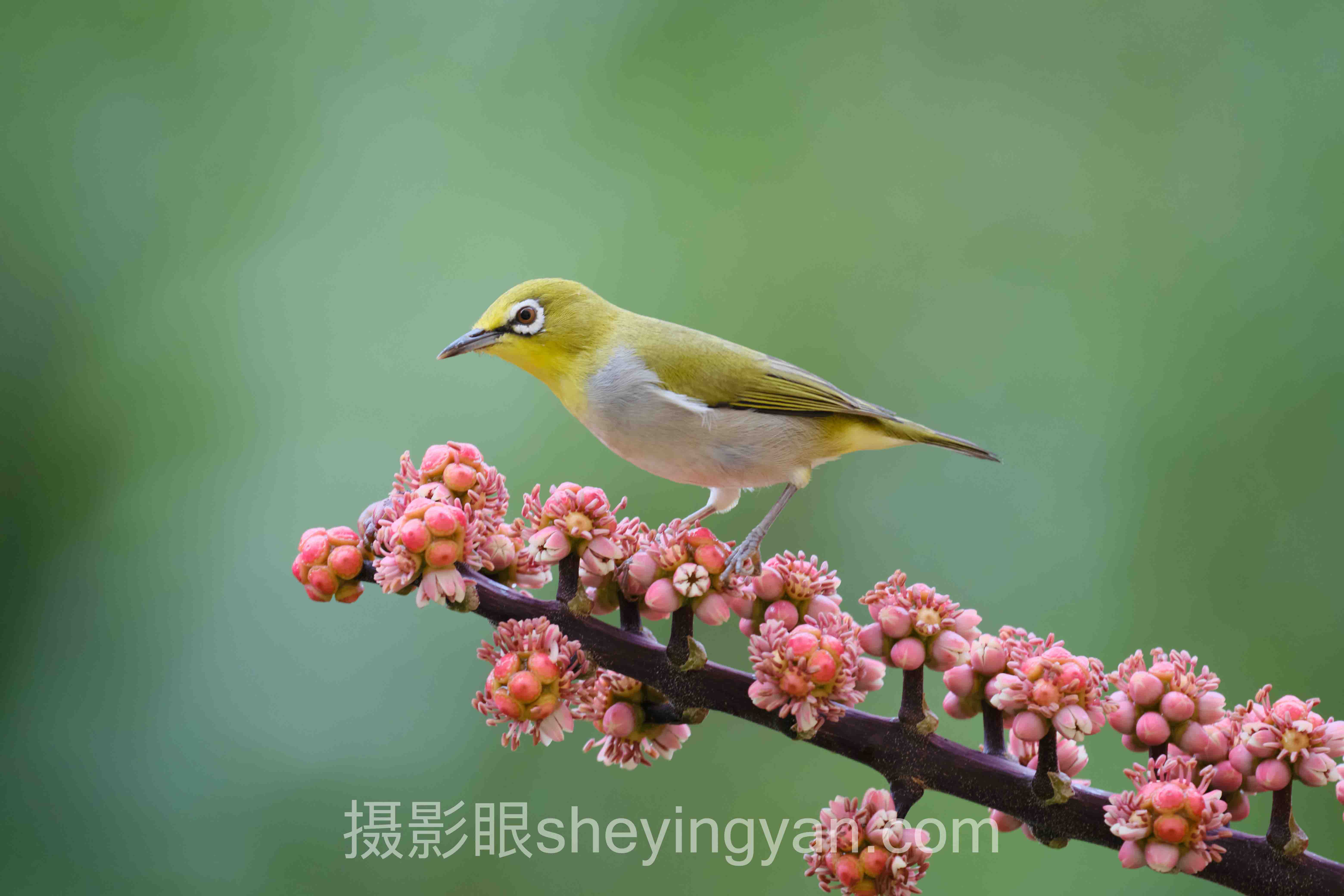 曝光滑杆怎么用深度分析：现状、挑战与未来趋势