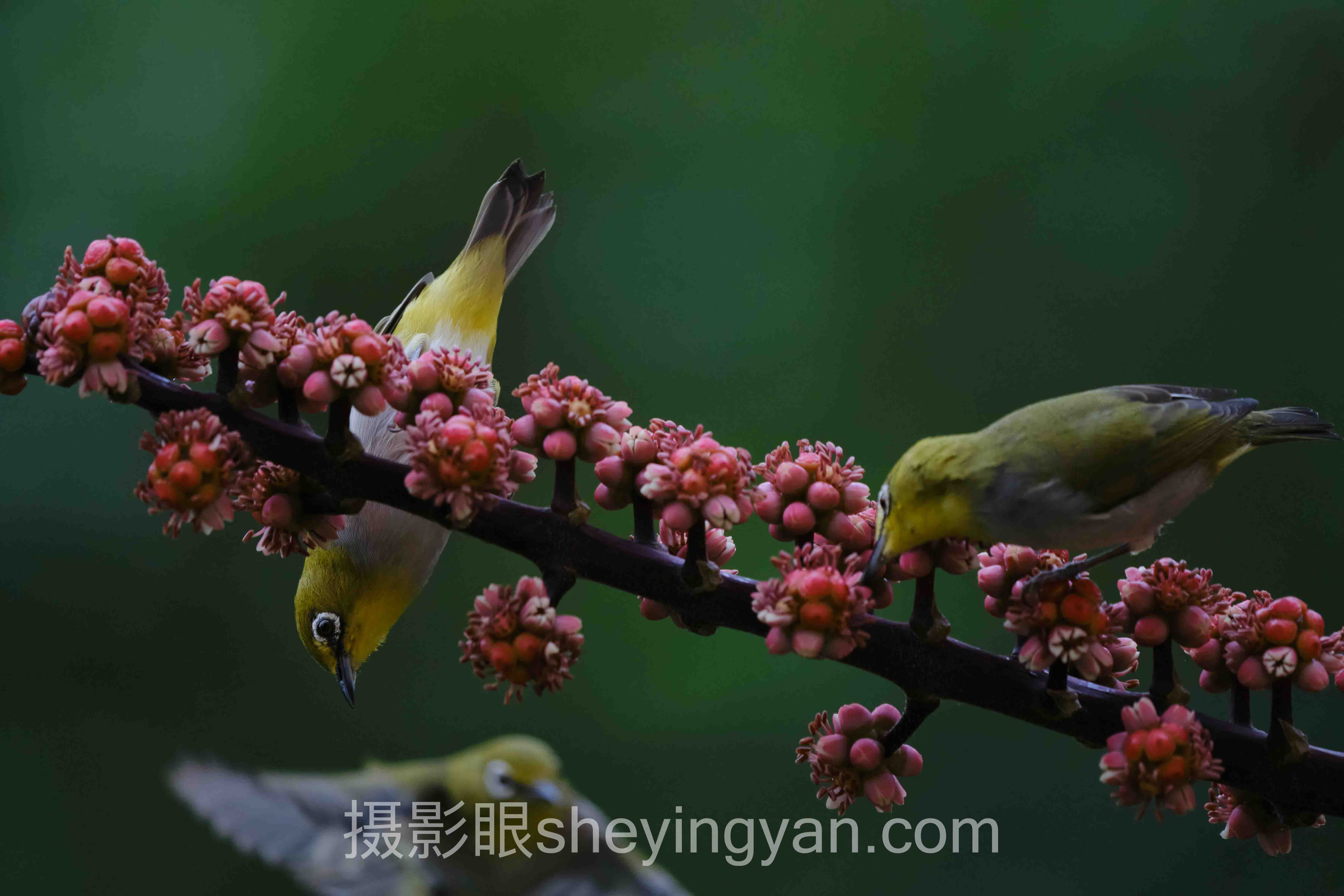 相机拍照技巧入门全景解读：问题根源与破局之道