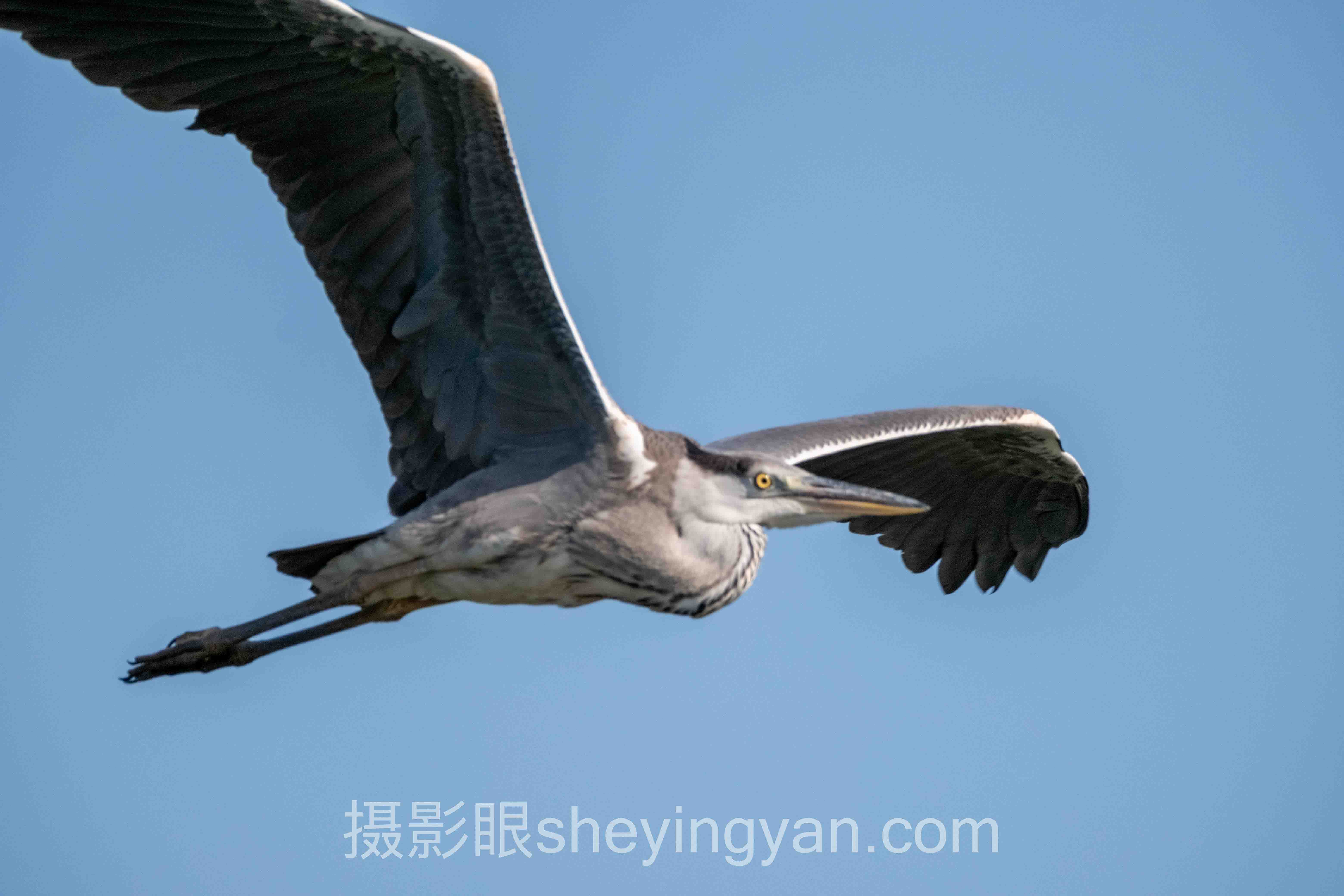 照片点评平台摄影师社区全景解读：问题根源与破局之道