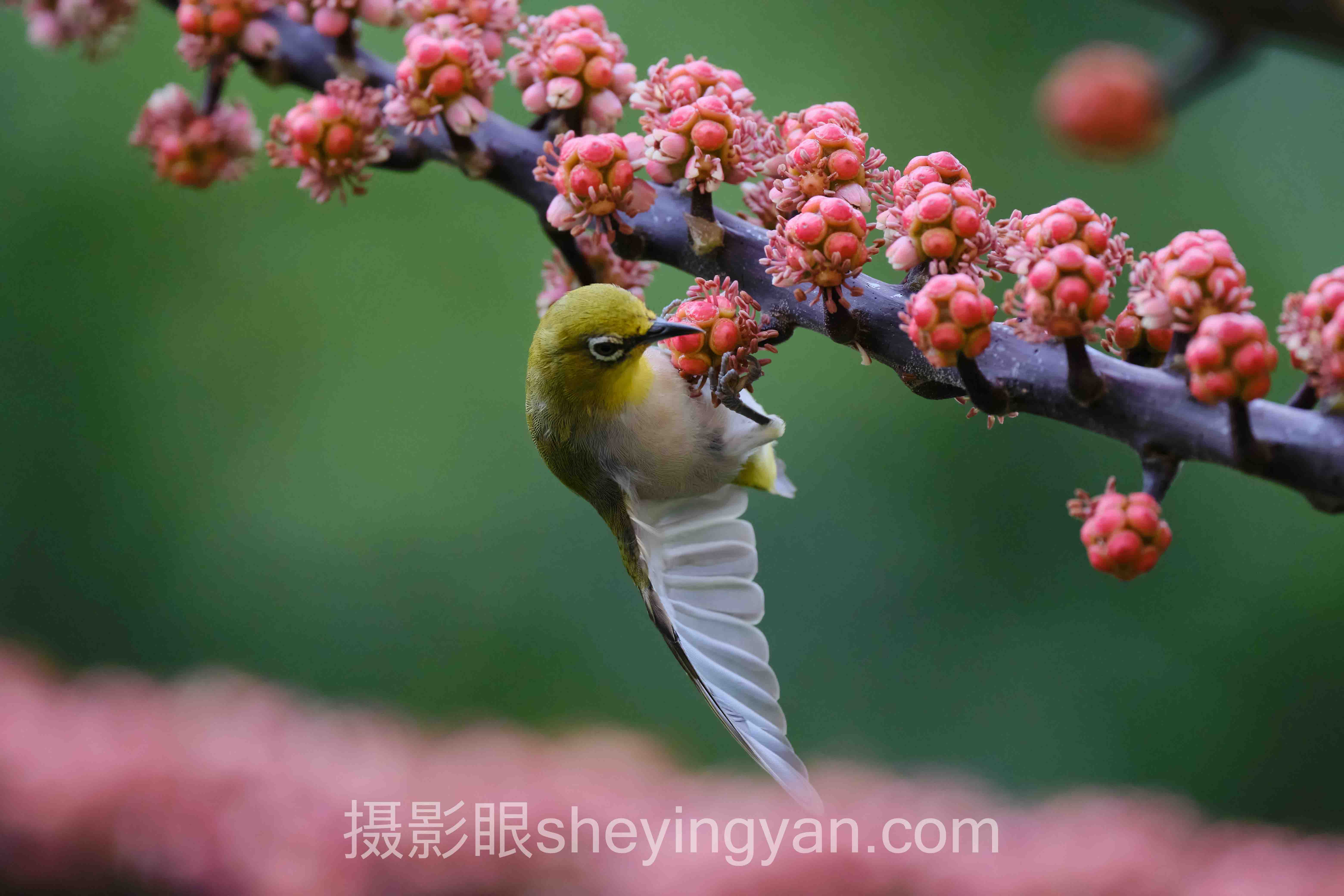 自拍角度怎么选深度分析：现状、挑战与未来趋势