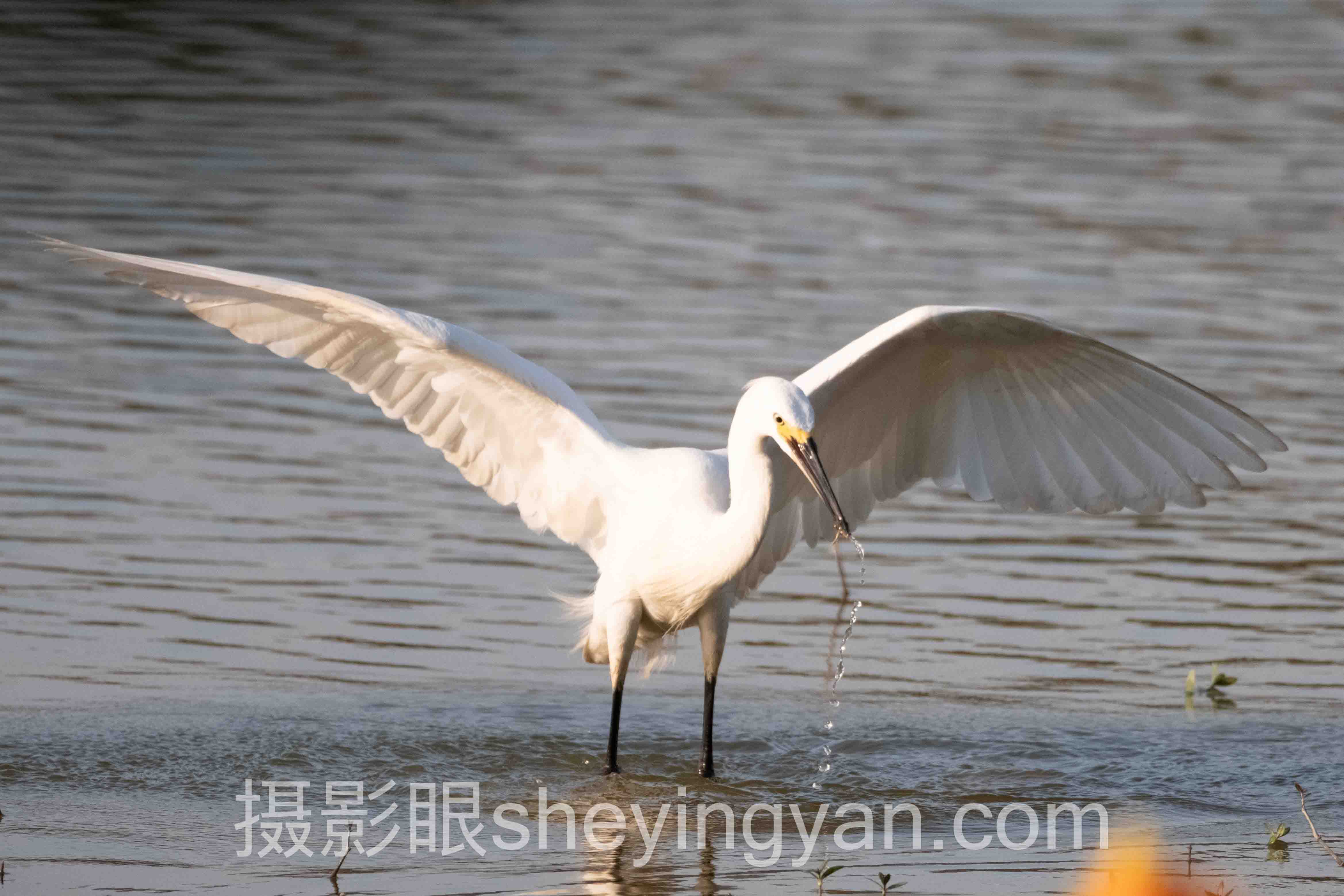 相机拍照技巧入门全景解读：问题根源与破局之道